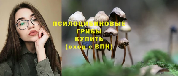эйфоретик Вязьма